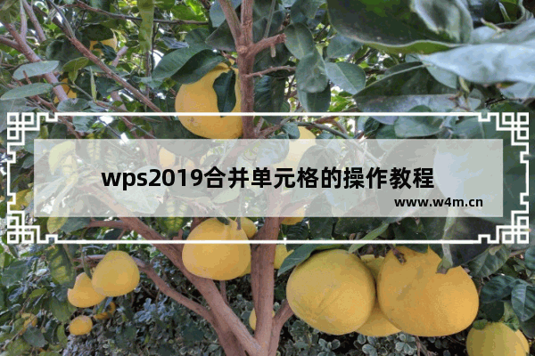 wps2019合并单元格的操作教程