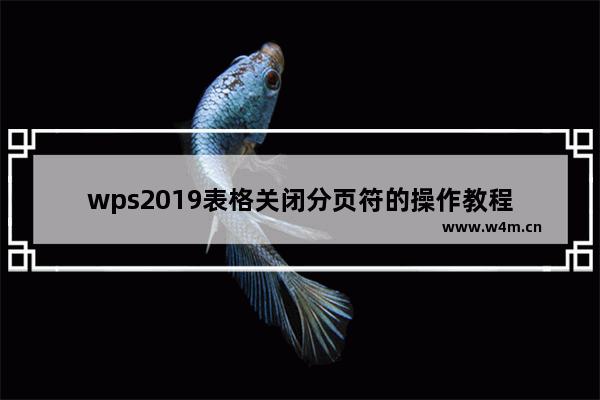 wps2019表格关闭分页符的操作教程