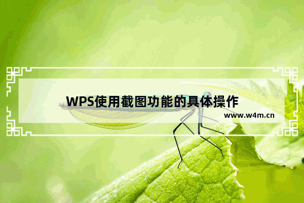 WPS使用截图功能的具体操作