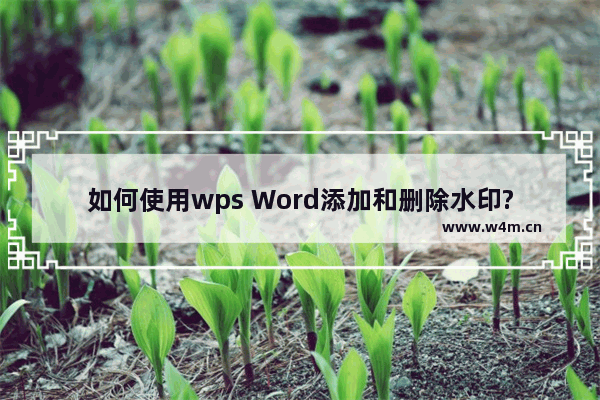 如何使用wps Word添加和删除水印? wps Word添加删除水印办法