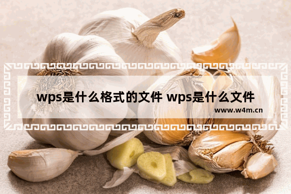 wps是什么格式的文件 wps是什么文件