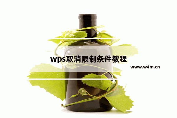 wps取消限制条件教程