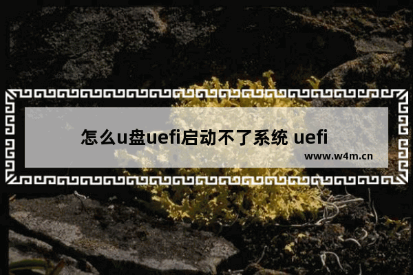 怎么u盘uefi启动不了系统 uefi u盘启动没反应