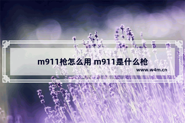 m911枪怎么用 m911是什么枪