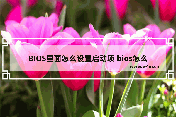 BIOS里面怎么设置启动项 bios怎么设置启动项硬盘