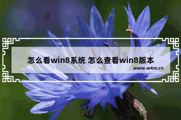 怎么看win8系统 怎么查看win8版本