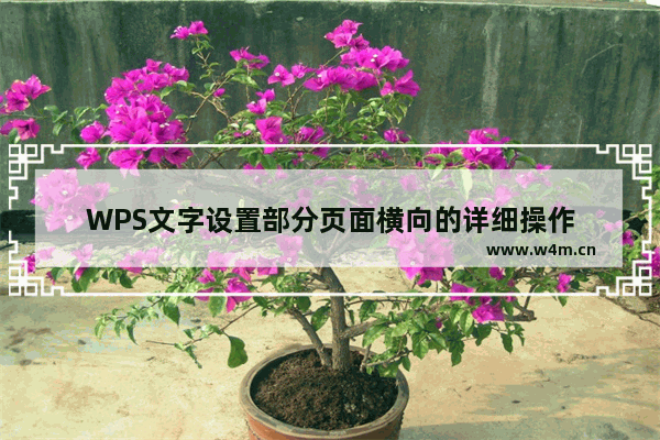 WPS文字设置部分页面横向的详细操作