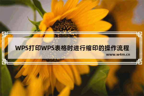 WPS打印WPS表格时进行缩印的操作流程