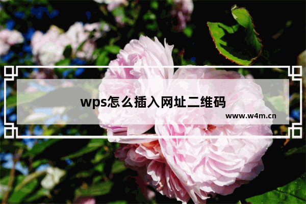 wps怎么插入网址二维码