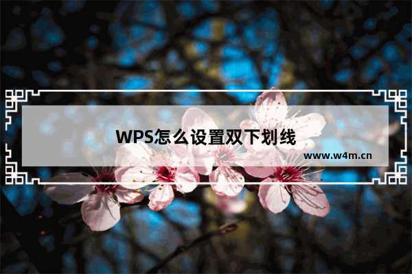 WPS怎么设置双下划线