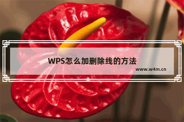 WPS怎么加删除线的方法