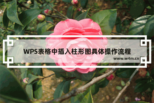 WPS表格中插入柱形图具体操作流程