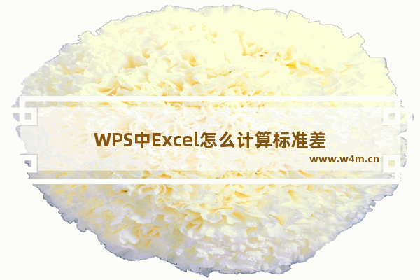 WPS中Excel怎么计算标准差