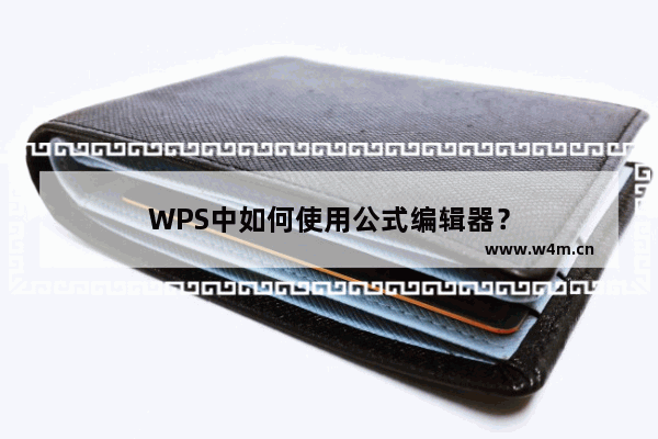 WPS中如何使用公式编辑器？