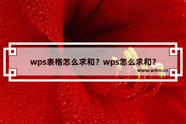 wps表格怎么求和？wps怎么求和？