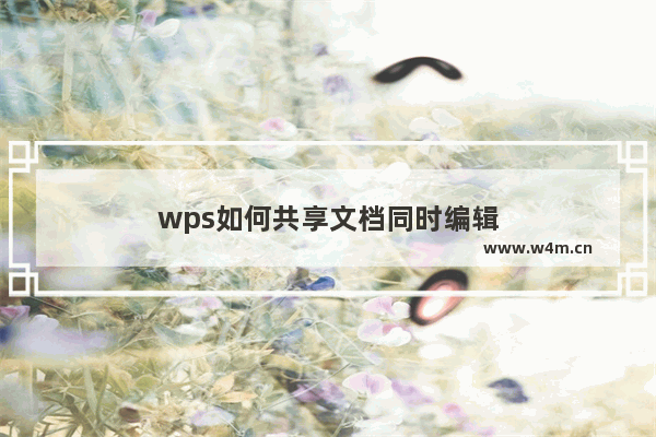 wps如何共享文档同时编辑