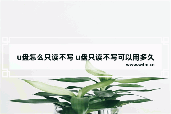 u盘怎么只读不写 u盘只读不写可以用多久