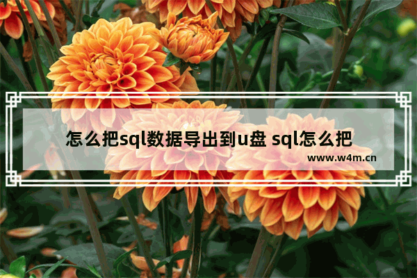 怎么把sql数据导出到u盘 sql怎么把数据导入