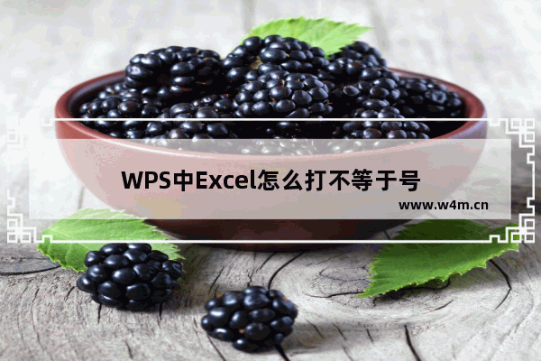 WPS中Excel怎么打不等于号