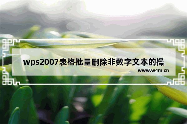 wps2007表格批量删除非数字文本的操作步骤