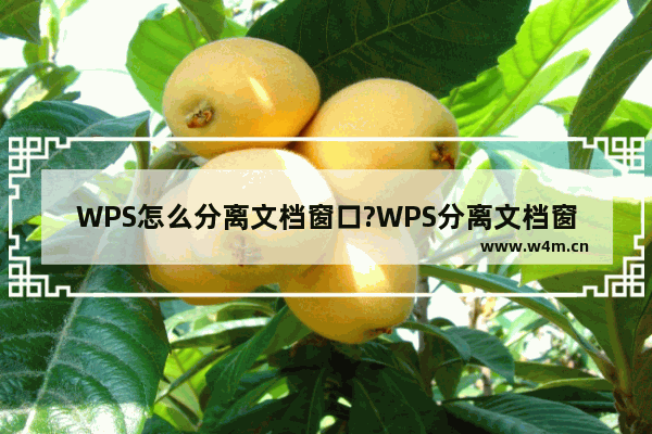 WPS怎么分离文档窗口?WPS分离文档窗口方法