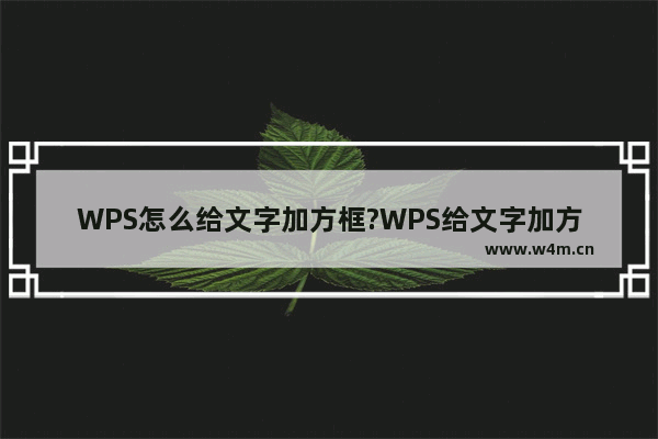 WPS怎么给文字加方框?WPS给文字加方框方法