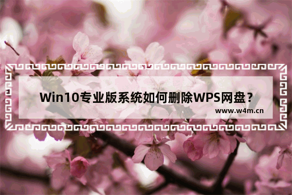 Win10专业版系统如何删除WPS网盘？