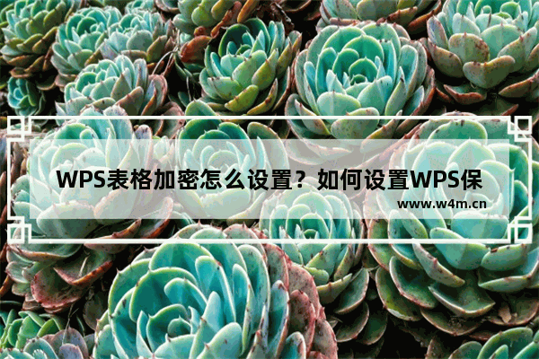 WPS表格加密怎么设置？如何设置WPS保护密码？