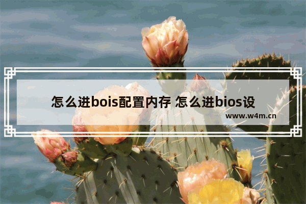 怎么进bois配置内存 怎么进bios设置内存