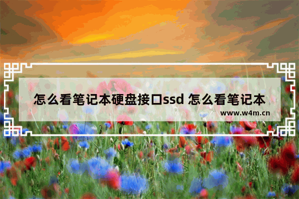 怎么看笔记本硬盘接口ssd 怎么看笔记本硬盘接口是m2