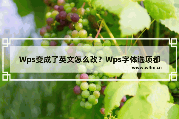 Wps变成了英文怎么改？Wps字体选项都是英文怎么调回中文教学