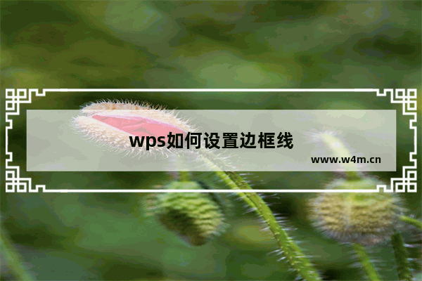 wps如何设置边框线