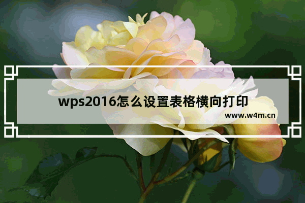 wps2016怎么设置表格横向打印