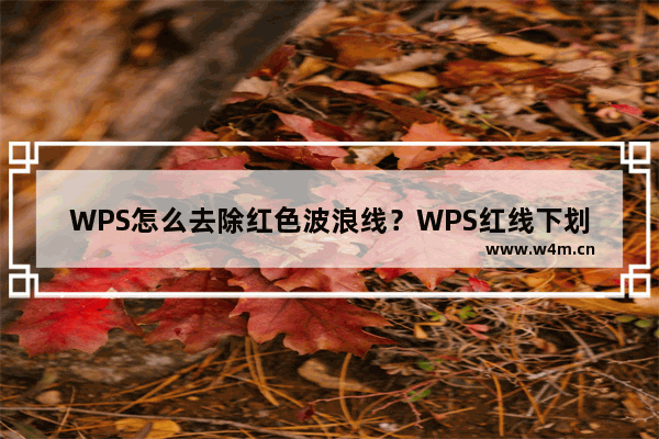 WPS怎么去除红色波浪线？WPS红线下划线的去除方法