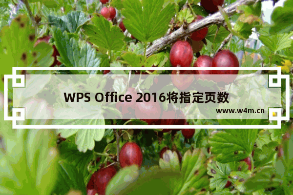 WPS Office 2016将指定页数设置为起始页的步骤