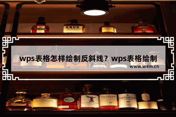 wps表格怎样绘制反斜线？wps表格绘制反斜线教程介绍