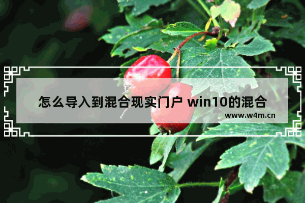 怎么导入到混合现实门户 win10的混合现实门户可以卸载吗