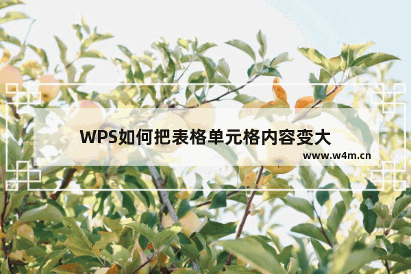 WPS如何把表格单元格内容变大