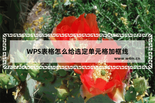 WPS表格怎么给选定单元格加框线