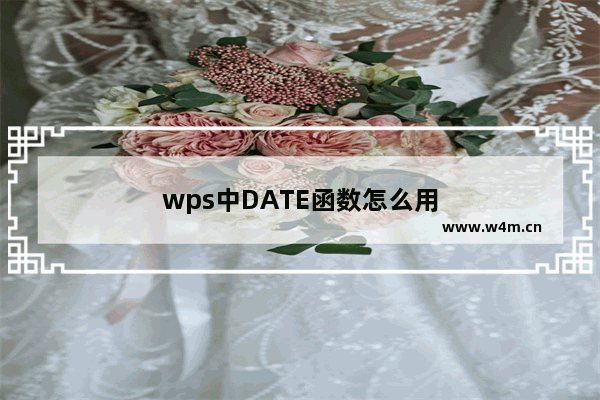 wps中DATE函数怎么用