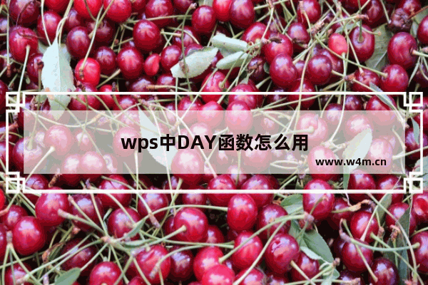 wps中DAY函数怎么用