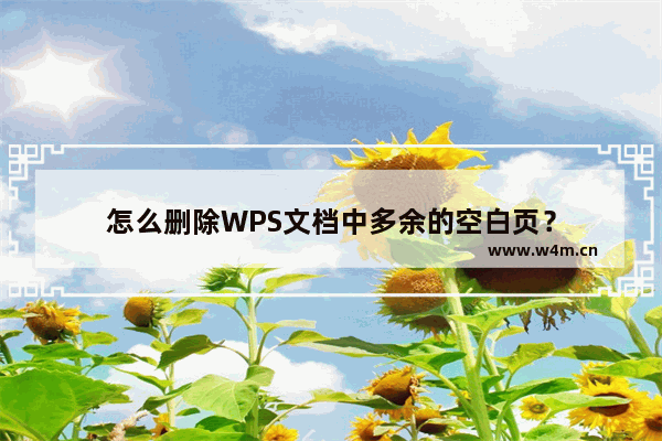 怎么删除WPS文档中多余的空白页？