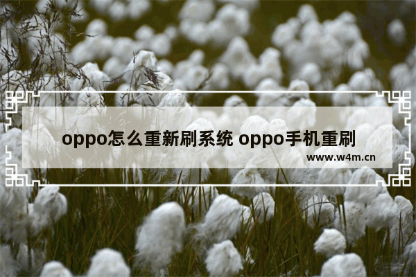 oppo怎么重新刷系统 oppo手机重刷系统