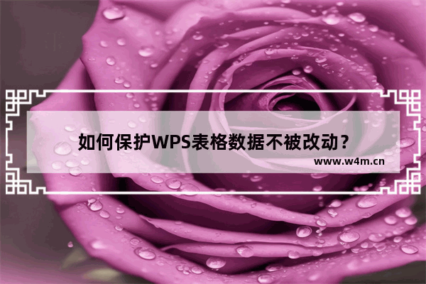 如何保护WPS表格数据不被改动？