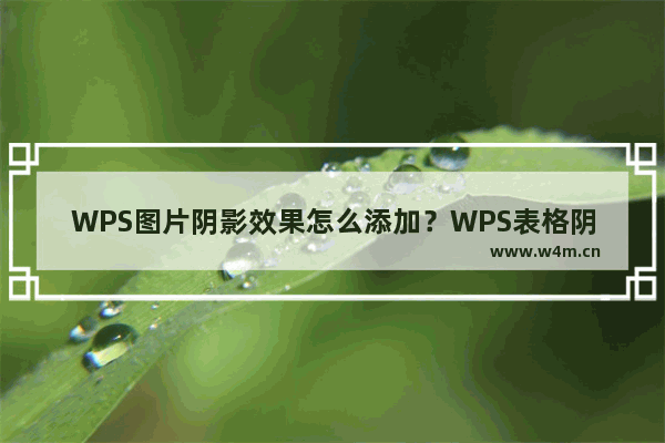 WPS图片阴影效果怎么添加？WPS表格阴影边框如何设置？