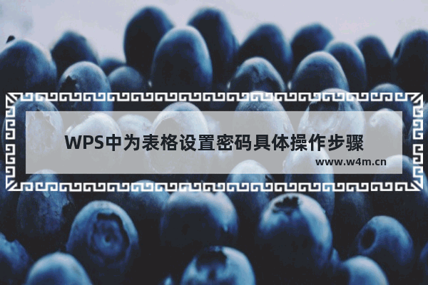 WPS中为表格设置密码具体操作步骤