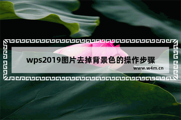 wps2019图片去掉背景色的操作步骤