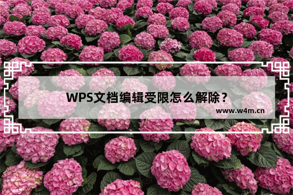 WPS文档编辑受限怎么解除？