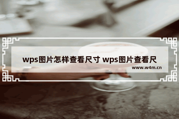 wps图片怎样查看尺寸 wps图片查看尺寸是多少厘米的操作方法