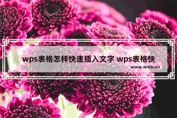 wps表格怎样快速插入文字 wps表格快速插入文字的详细步骤